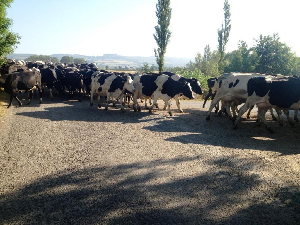 منزل الضيف Ballymacarbry  في Glasha Farmhouse المظهر الخارجي الصورة